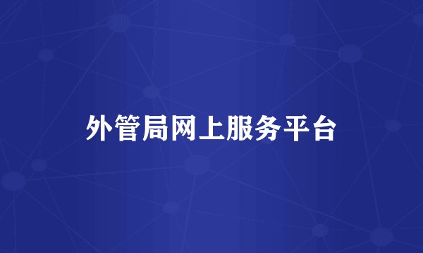 外管局网上服务平台