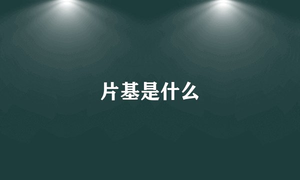 片基是什么