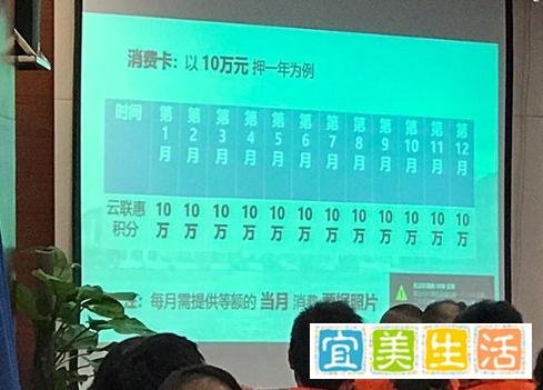揭秘 “云联惠”：特大网络传销团伙的崛起与覆灭