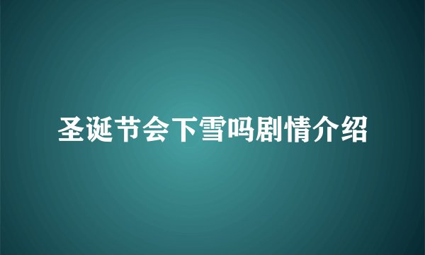 圣诞节会下雪吗剧情介绍