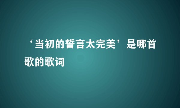 ‘当初的誓言太完美’是哪首歌的歌词