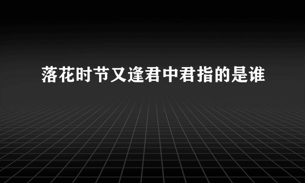 落花时节又逢君中君指的是谁