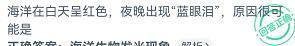 海洋白天呈红色夜晚出现蓝眼泪的原因?神奇海洋