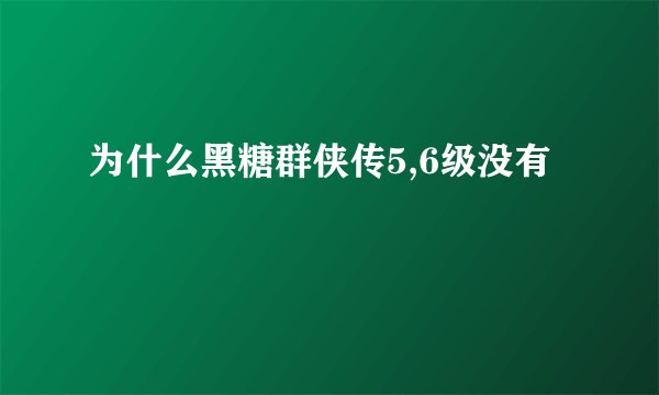 为什么黑糖群侠传5,6级没有