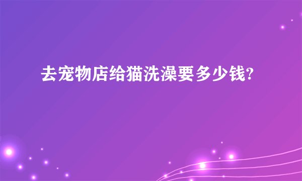 去宠物店给猫洗澡要多少钱?