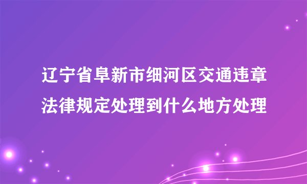 辽宁省阜新市细河区交通违章法律规定处理到什么地方处理