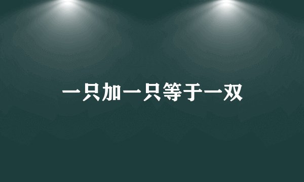 一只加一只等于一双