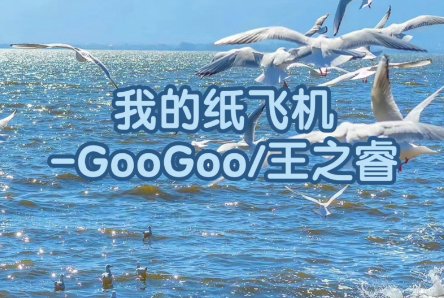 我的纸飞机歌词完整版
