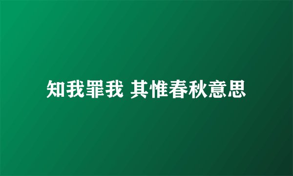 知我罪我 其惟春秋意思