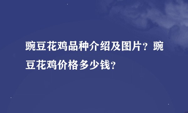 豌豆花鸡品种介绍及图片？豌豆花鸡价格多少钱？