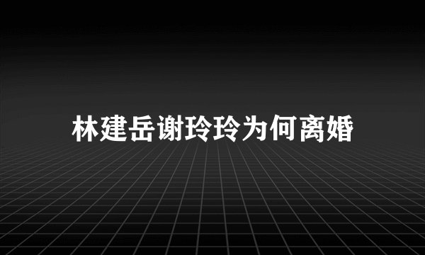 林建岳谢玲玲为何离婚