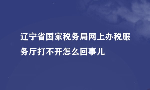 辽宁省国家税务局网上办税服务厅打不开怎么回事儿