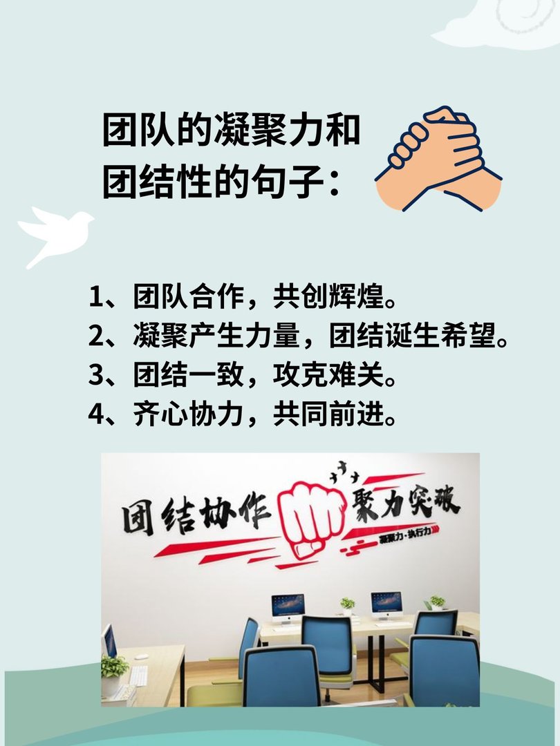 团队的凝聚力和团结性的句子