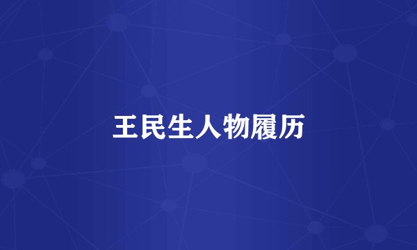 王民生人物履历
