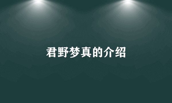 君野梦真的介绍
