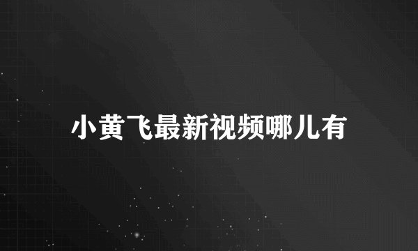 小黄飞最新视频哪儿有