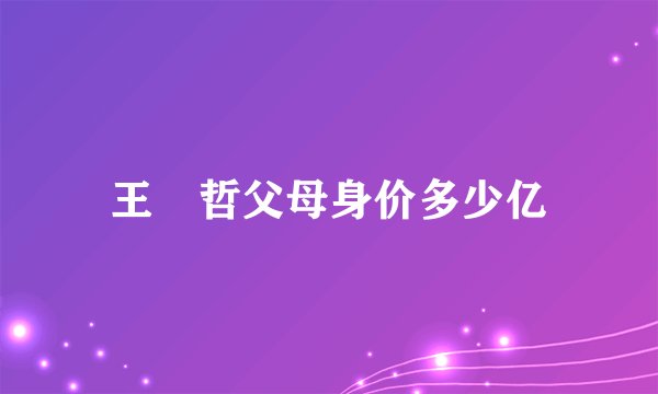 王祎哲父母身价多少亿