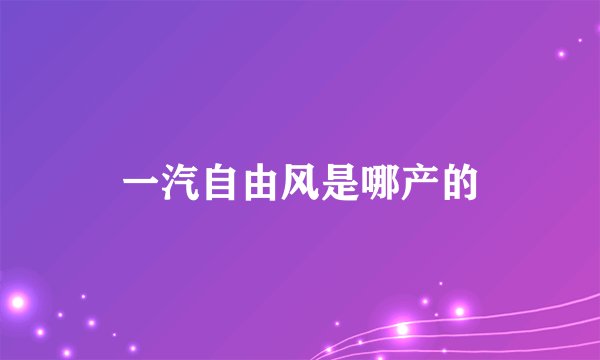 一汽自由风是哪产的