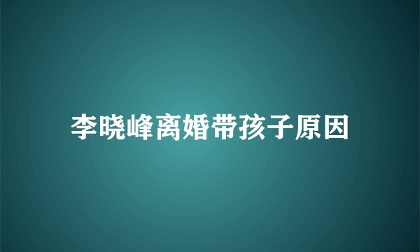 李晓峰离婚带孩子原因