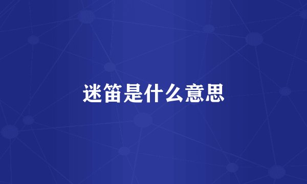 迷笛是什么意思