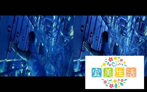 电脑做“播放机”用3D电视播放3D电影教程
