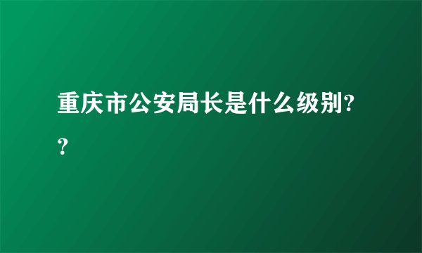 重庆市公安局长是什么级别?？