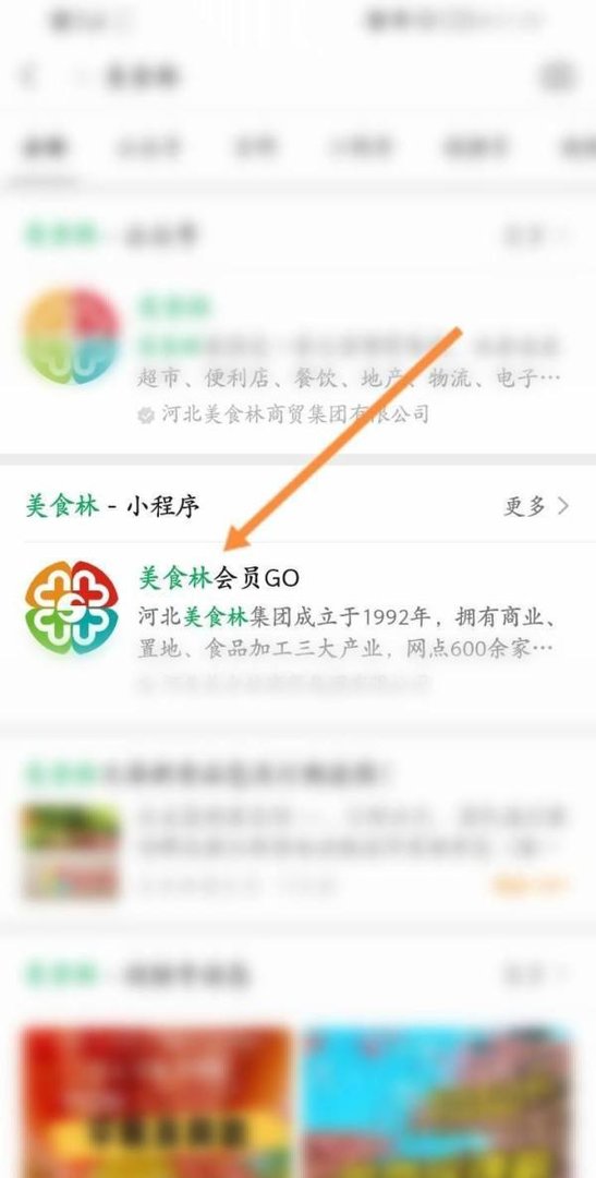 邯郸美食林怎么网上购物