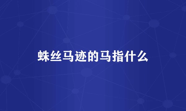 蛛丝马迹的马指什么