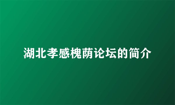 湖北孝感槐荫论坛的简介