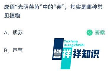 光阴荏苒中的荏是指哪种植物？蚂蚁庄园7月25
