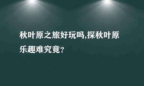秋叶原之旅好玩吗,探秋叶原乐趣难究竟?
