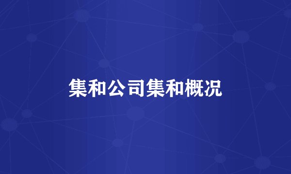 集和公司集和概况