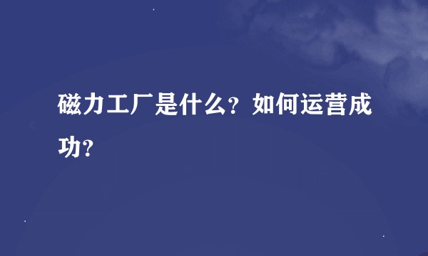 磁力工厂是什么？如何运营成功？