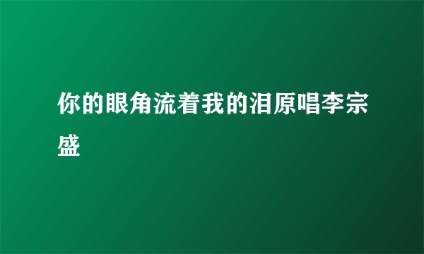 你的眼角流着我的泪原唱李宗盛