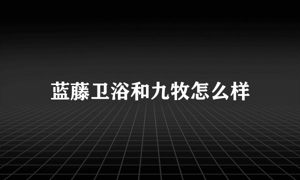 蓝藤卫浴和九牧怎么样