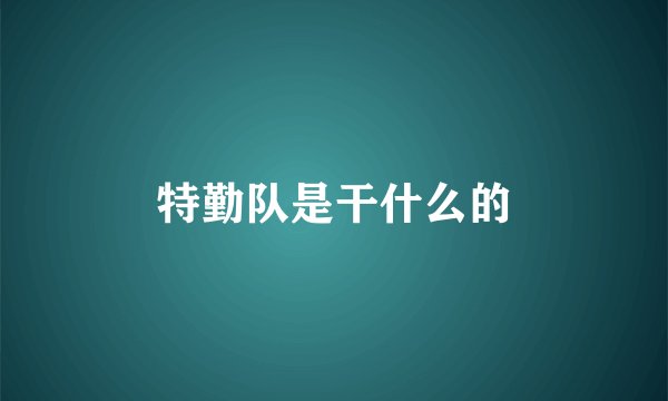 特勤队是干什么的
