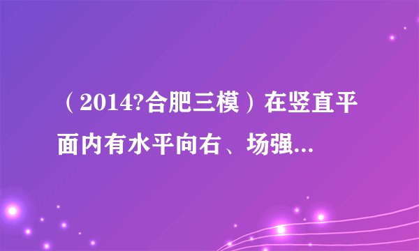 (2014?合肥三模)在竖直平面内有水平向右、场强为E的匀强电场,在匀强电场中有一根长为L的绝缘细线,一