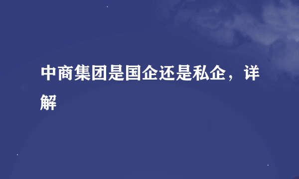 中商集团是国企还是私企，详解