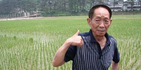 奉献一生只为改变现状“当代神农氏,袁隆平”