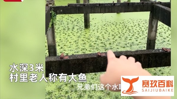 男子5万承包野鱼塘仅捞出4条鱼 网友：老人的嘴，骗人的鬼