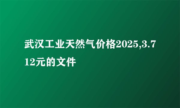 武汉工业天然气价格2025,3.712元的文件