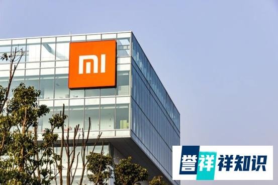 小米涉嫌违反《外汇管理法》？遭印度冻结48亿资产，小米回应