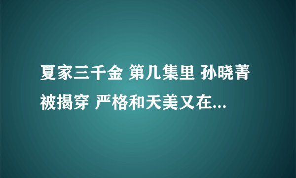 夏家三千金 第几集里 孙晓菁被揭穿 严格和天美又在一起的？