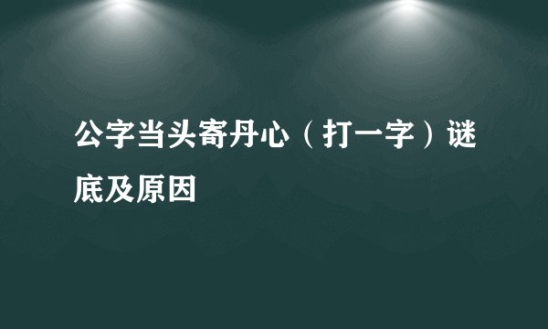 公字当头寄丹心（打一字）谜底及原因