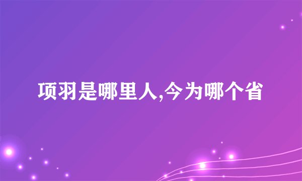 项羽是哪里人,今为哪个省