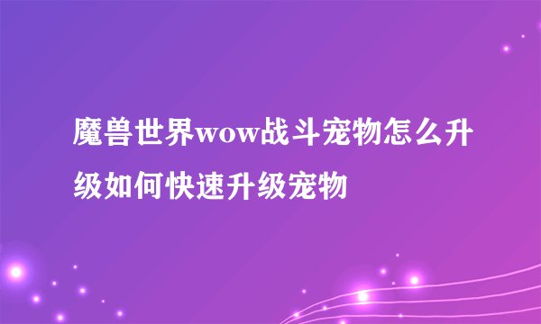 魔兽世界wow战斗宠物怎么升级如何快速升级宠物