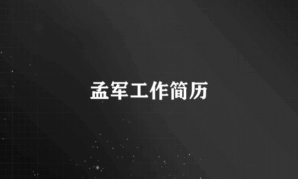 孟军工作简历