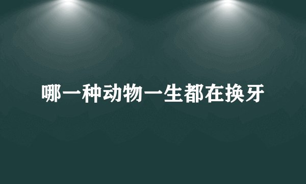 哪一种动物一生都在换牙