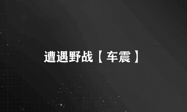 遭遇野战【车震】