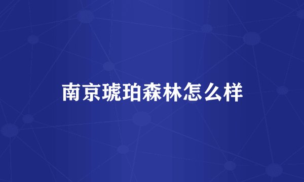 南京琥珀森林怎么样